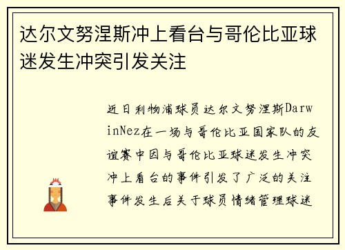 达尔文努涅斯冲上看台与哥伦比亚球迷发生冲突引发关注