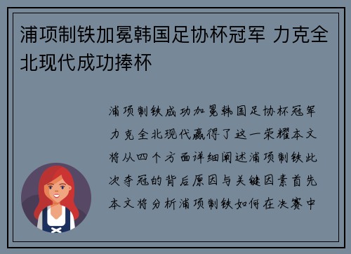 浦项制铁加冕韩国足协杯冠军 力克全北现代成功捧杯